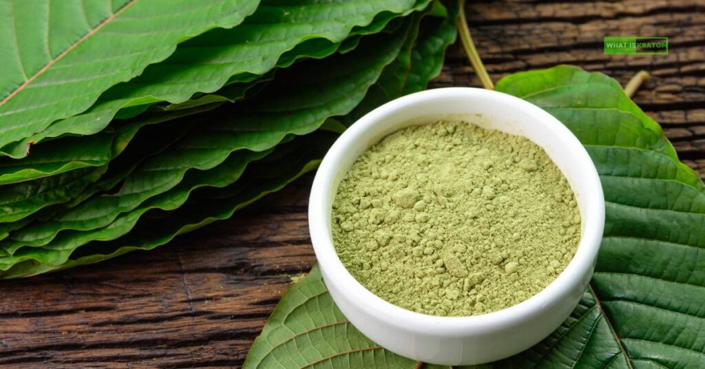 Green Malay Kratom and Adderall: Is the Combination Dangerous?