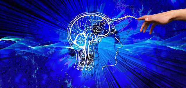 2. Understanding the Alkaloids: Key Compounds in Kratom and their Effects on the Human Body