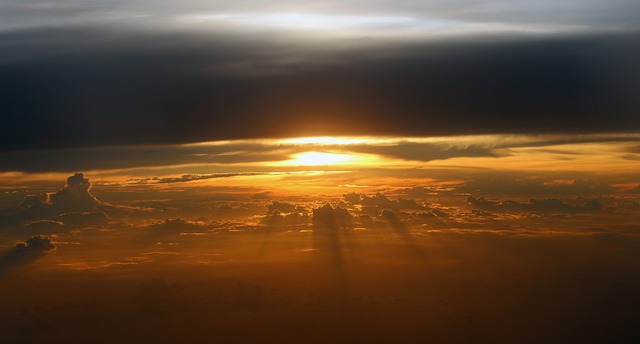 The Ultimate Guide to the Exhilarating World of Trainwreck Kratom 1 The Ultimate Guide to the Exhilarating World of Trainwreck Kratom